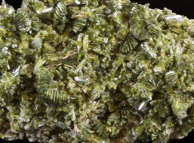 Lustrous, Epidote Crystal Cluster - Morocco #40876